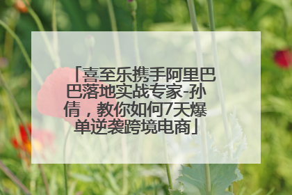 喜至乐携手阿里巴巴落地实战专家-孙倩，教你如何7天爆单逆袭跨境电商