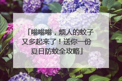 嗡嗡嗡，烦人的蚊子又多起来了！送你一份夏日防蚊全攻略