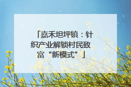 嘉禾坦坪镇：针织产业解锁村民致富“新模式”