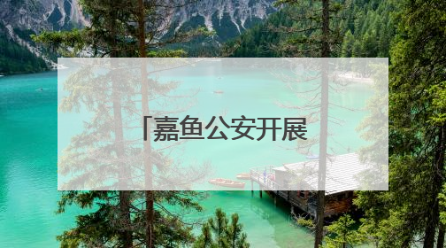 嘉鱼公安开展防范非法金融活动集中宣传