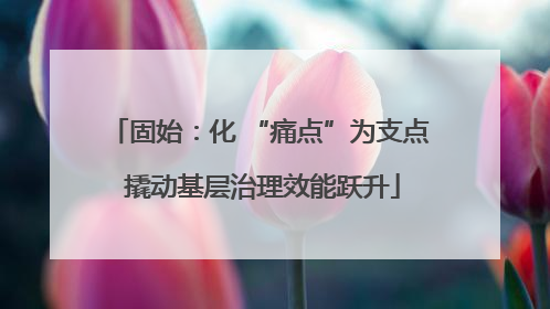 固始：化 “痛点”为支点 撬动基层治理效能跃升