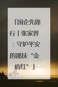 国企先锋行丨张家界：守护平安的那抹“金盾红”