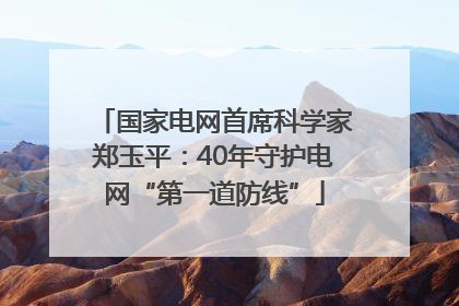 国家电网首席科学家郑玉平：40年守护电网“第一道防线”