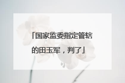 国家监委指定管辖的田玉军，判了