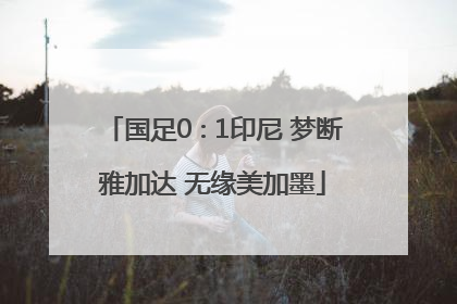 国足0∶1印尼 梦断雅加达 无缘美加墨