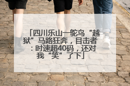 四川乐山一鸵鸟“越狱”马路狂奔，目击者：时速超40码，还对我“笑”了下