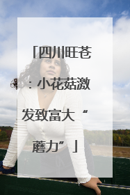 四川旺苍：小花菇激发致富大“蘑力”