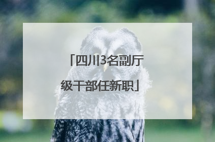 四川3名副厅级干部任新职