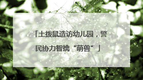 土拨鼠造访幼儿园，警民协力智擒“萌兽”