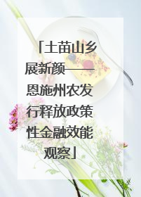 土苗山乡展新颜——恩施州农发行释放政策性金融效能观察