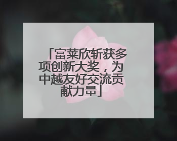 富莱欣斩获多项创新大奖，为中越友好交流贡献力量