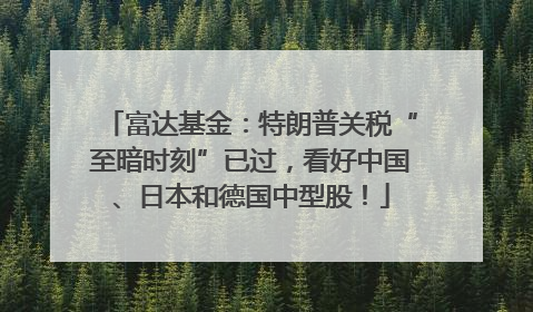 富达基金：特朗普关税“至暗时刻”已过，看好中国、日本和德国中型股！
