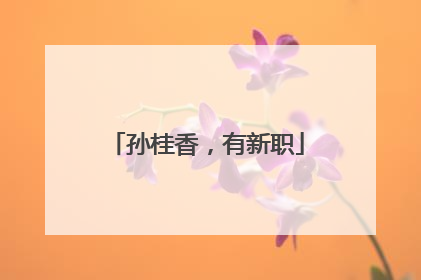 孙桂香，有新职