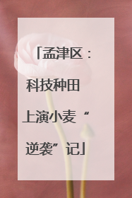 孟津区：科技种田 上演小麦“逆袭”记