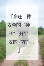 宿迁：种安全的“种子” 开平安的“花”