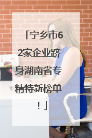 宁乡市62家企业跻身湖南省专精特新榜单！