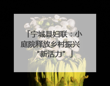 宁城县妇联：小庭院释放乡村振兴“新活力”