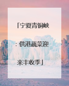 宁夏青铜峡：供港蔬菜迎来丰收季