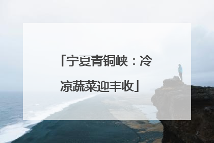 宁夏青铜峡：冷凉蔬菜迎丰收