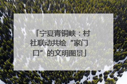 宁夏青铜峡：村社联动共绘“家门口”的文明图景