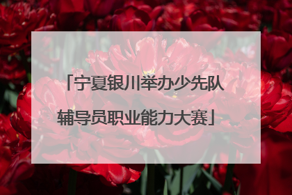 宁夏银川举办少先队辅导员职业能力大赛