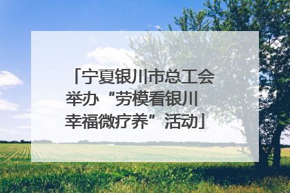 宁夏银川市总工会举办“劳模看银川 幸福微疗养”活动