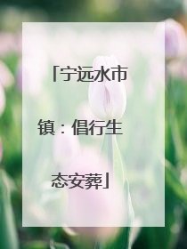 宁远水市镇：倡行生态安葬
