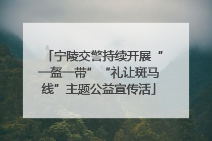 宁陵交警持续开展“一盔一带”“礼让斑马线”主题公益宣传活