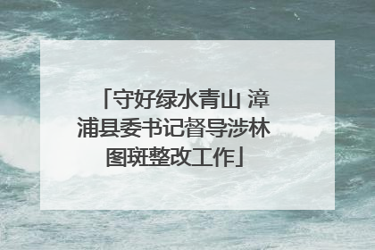 守好绿水青山 漳浦县委书记督导涉林图斑整改工作
