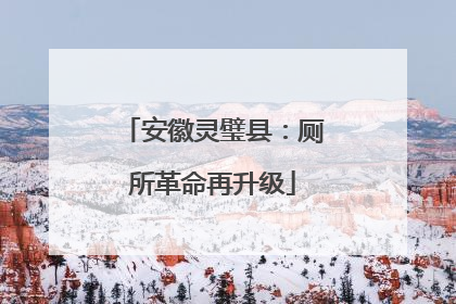 安徽灵璧县：厕所革命再升级