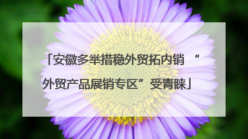安徽多举措稳外贸拓内销 “外贸产品展销专区”受青睐