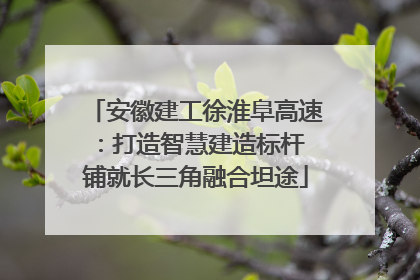 安徽建工徐淮阜高速：打造智慧建造标杆 铺就长三角融合坦途