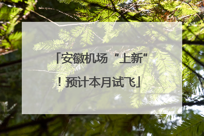 安徽机场“上新”！预计本月试飞
