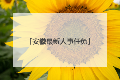 安徽最新人事任免