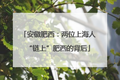安徽肥西：两位上海人“链上”肥西的背后