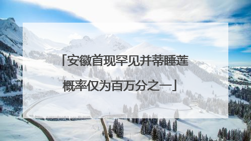 安徽首现罕见并蒂睡莲 概率仅为百万分之一