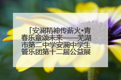 安澜精神传薪火•青春乐章颂未来——芜湖市第二中学安澜中学生管乐团第十二届公益展演圆满举行