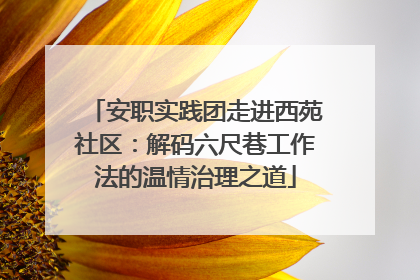 安职实践团走进西苑社区：解码六尺巷工作法的温情治理之道