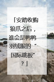 安踏收购狼爪之后，谁会是鸭鸭羽绒服的“国际跳板”？