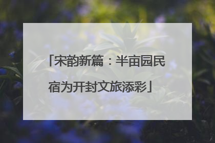 宋韵新篇：半亩园民宿为开封文旅添彩