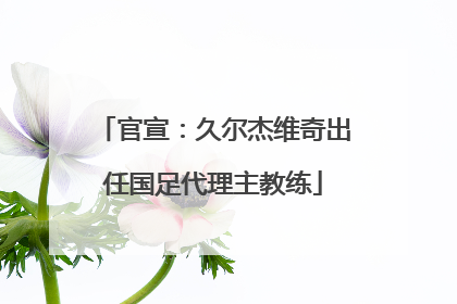 官宣：久尔杰维奇出任国足代理主教练