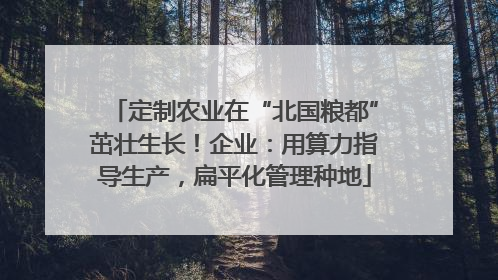 定制农业在“北国粮都”茁壮生长！企业：用算力指导生产，扁平化管理种地