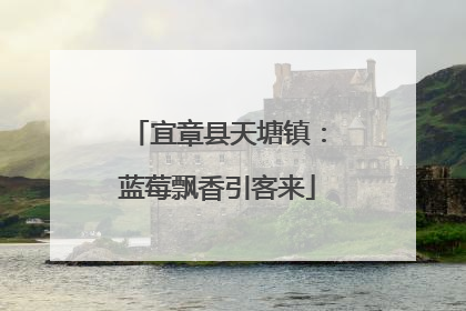 宜章县天塘镇：蓝莓飘香引客来