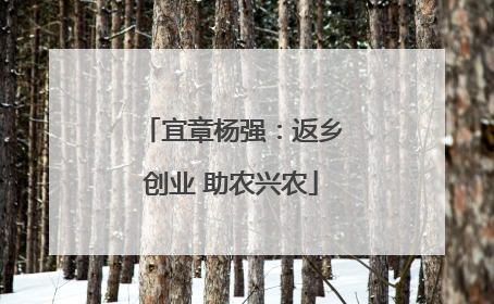 宜章杨强：返乡创业 助农兴农