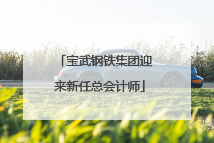 宝武钢铁集团迎来新任总会计师