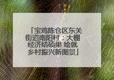 宝鸡陈仓区东关街道南阳村：大棚经济结硕果 绘就乡村振兴新图景