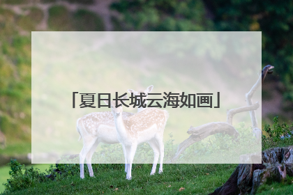 夏日长城云海如画