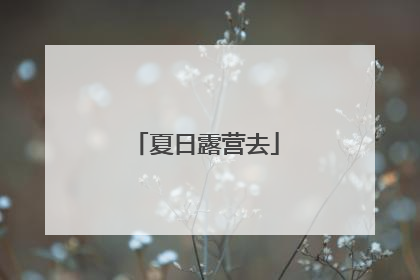 夏日露营去