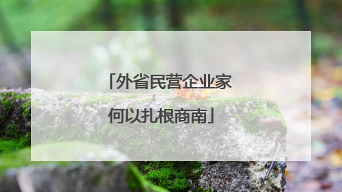 外省民营企业家何以扎根商南
