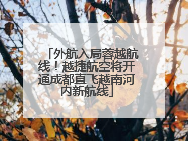 外航入局蓉越航线！越捷航空将开通成都直飞越南河内新航线